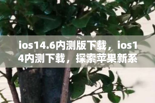 ios14.6内测版下载,ios14内测下载,探索苹果新系统的独特魅力 ios14.6内测版下载,ios14内测下载,探索苹果新系统的独特魅力