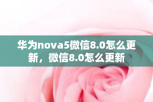 华为nova5微信8.0怎么更新，微信8.0怎么更新
