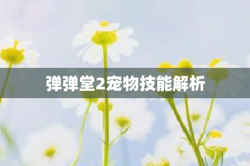 弹弹堂2宠物技能解析
