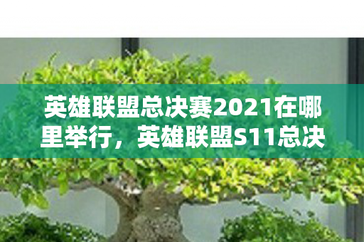 英雄联盟总决赛2021在哪里举行，英雄联盟S11总决赛地点揭晓，冰岛雷克雅未克