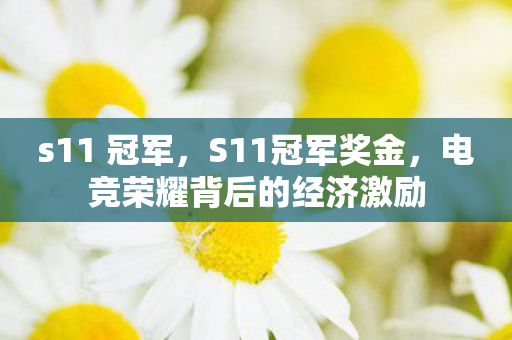 s11 冠军，S11冠军奖金，电竞荣耀背后的经济激励