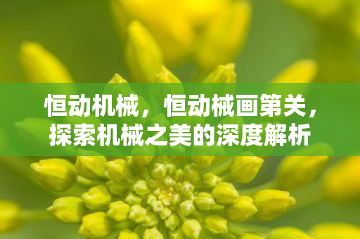 恒动机械,恒动械画第关,探索机械之美的深度解析 恒动机械,恒动械画第关,探索机械之美的深度解析