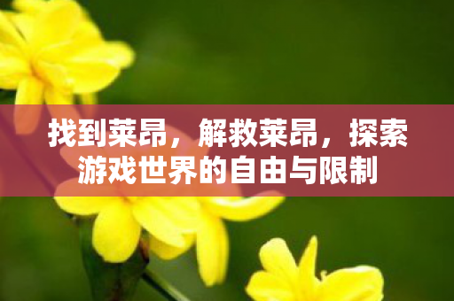 找到莱昂，解救莱昂，探索游戏世界的自由与限制