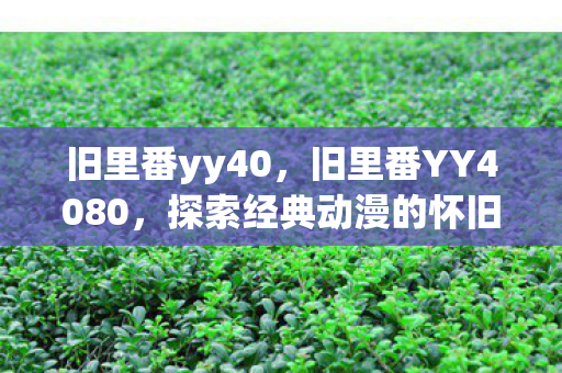旧里番yy40，旧里番YY4080，探索经典动漫的怀旧之旅