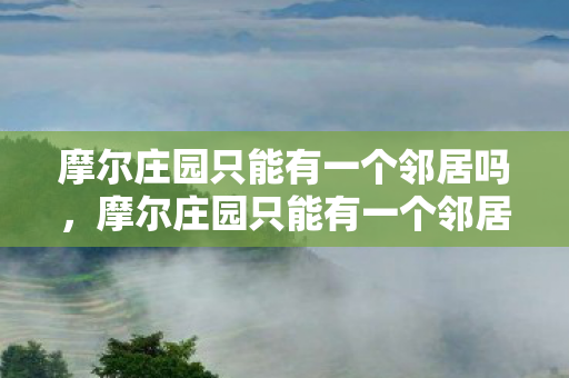 摩尔庄园只能有一个邻居吗，摩尔庄园只能有一个邻居吗？