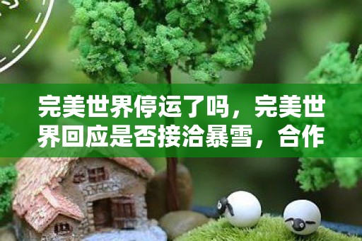 完美世界停运了吗，完美世界回应是否接洽暴雪，合作背后的考量与未来展望