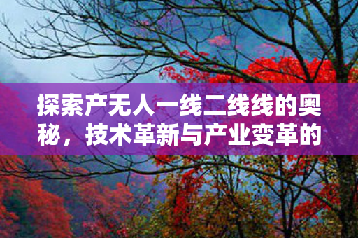 探索产无人一线二线线的奥秘,技术革新与产业变革的交汇点 探索产无人一线二线线的奥秘,技术革新与产业变革的交汇点