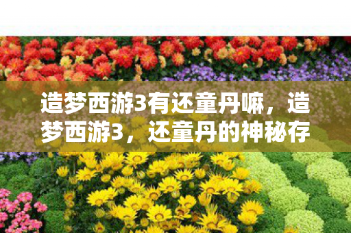 造梦西游3有还童丹嘛，造梦西游3，还童丹的神秘存在
