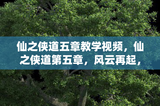 仙之侠道五章教学视频，仙之侠道第五章，风云再起，江湖路远