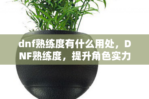 dnf熟练度有什么用处,DNF熟练度,提升角色实力与个性化打造的关键 dnf熟练度有什么用处,DNF熟练度,提升角色实力与个性化打造的关键