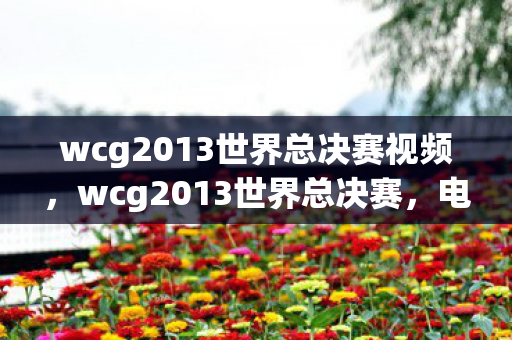 wcg2013世界总决赛视频,wcg2013世界总决赛,电竞传奇的巅峰对决 wcg2013世界总决赛视频,wcg2013世界总决赛,电竞传奇的巅峰对决