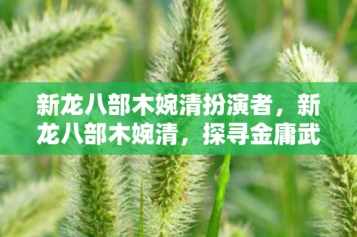 新龙八部木婉清扮演者，新龙八部木婉清，探寻金庸武侠世界的柔情侠骨
