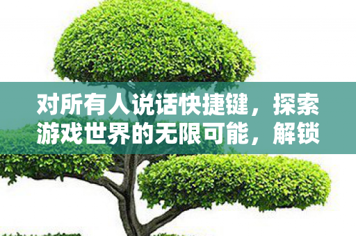 对所有人说话快捷键，探索游戏世界的无限可能，解锁所有说话快捷键的奇妙之旅