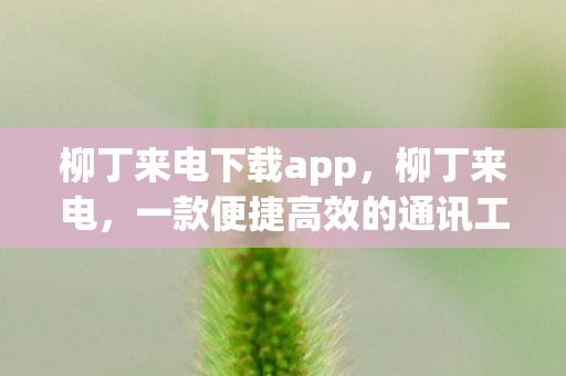 柳丁来电下载app,柳丁来电,一款便捷高效的通讯工具 柳丁来电下载app,柳丁来电,一款便捷高效的通讯工具