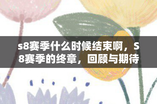 s8赛季什么时候结束啊，S8赛季的终章，回顾与期待