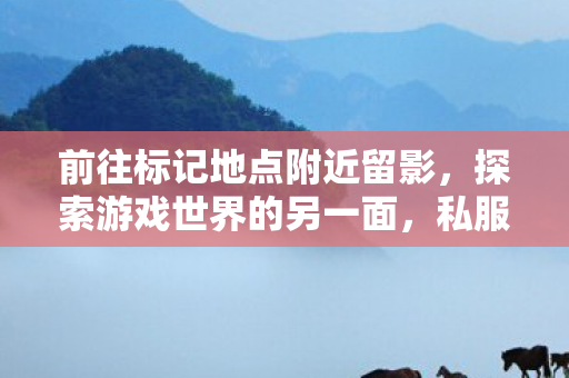 前往标记地点附近留影,探索游戏世界的另一面,私服与官方服务器的独特魅力 前往标记地点附近留影,探索游戏世界的另一面,私服与官方服务器的独特魅力