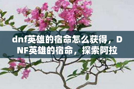 dnf英雄的宿命怎么获得，DNF英雄的宿命，探索阿拉德大陆的无尽挑战