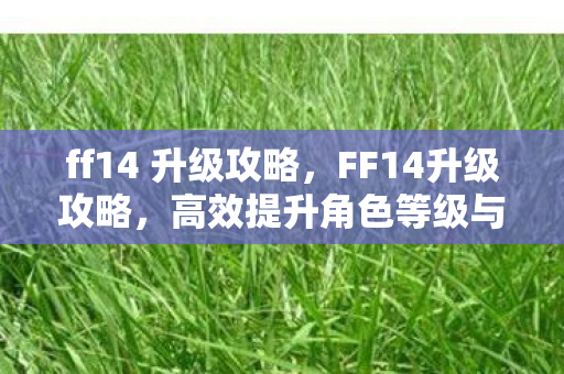 ff14 升级攻略,FF14升级攻略,高效提升角色等级与装备实力 ff14 升级攻略,FF14升级攻略,高效提升角色等级与装备实力