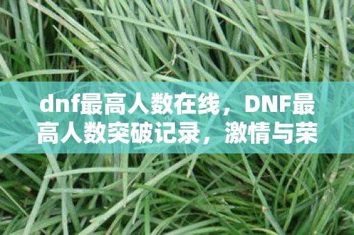 dnf最高人数在线,DNF最高人数突破记录,激情与荣耀的见证 dnf最高人数在线,DNF最高人数突破记录,激情与荣耀的见证