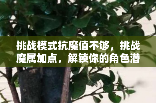 挑战模式抗魔值不够，挑战魔属加点，解锁你的角色潜能