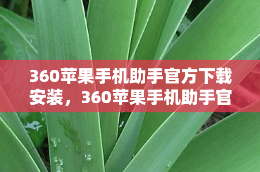 360苹果手机助手官方下载安装，360苹果手机助手官方下载，安全、便捷、高效的管理工具