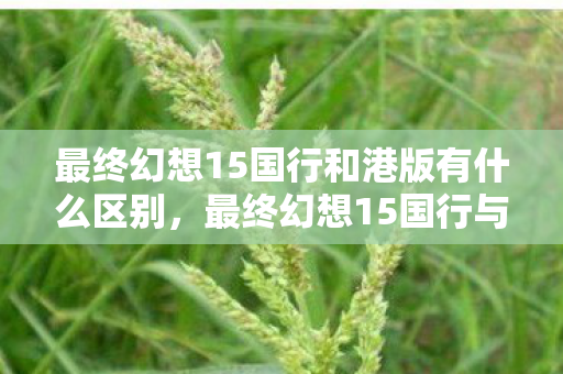 最终幻想15国行和港版有什么区别，最终幻想15国行与港版的差异与选择指南