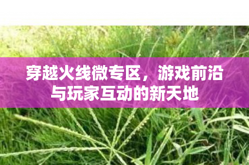 穿越火线微专区,游戏前沿与玩家互动的新天地 穿越火线微专区,游戏前沿与玩家互动的新天地