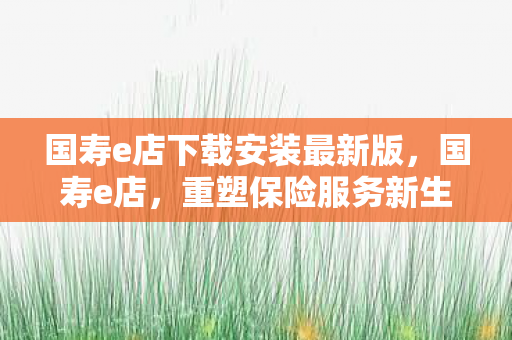 国寿e店下载安装最新版，国寿e店，重塑保险服务新生态
