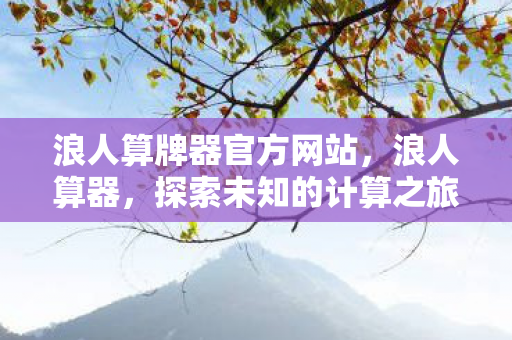 浪人算牌器官方网站,浪人算器,探索未知的计算之旅 浪人算牌器官方网站,浪人算器,探索未知的计算之旅