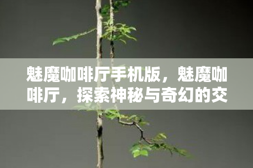 魅魔咖啡厅手机版，魅魔咖啡厅，探索神秘与奇幻的交界