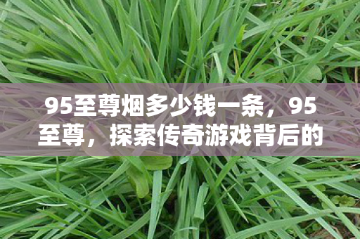 95至尊烟多少钱一条，95至尊，探索传奇游戏背后的运营艺术