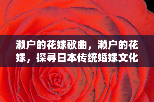 濑户的花嫁歌曲，濑户的花嫁，探寻日本传统婚嫁文化的魅力