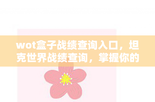 wot盒子战绩查询入口，坦克世界战绩查询，掌握你的战斗数据