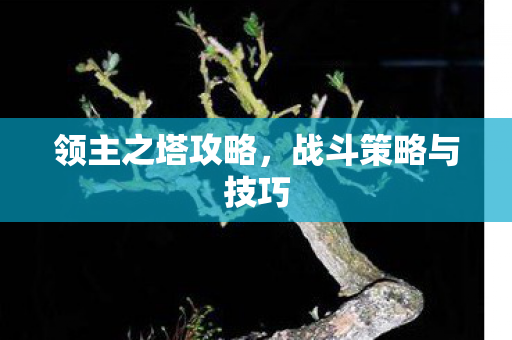 领主之塔攻略,战斗策略与技巧 领主之塔攻略,战斗策略与技巧