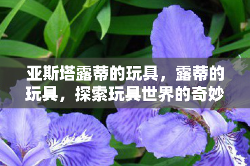 亚斯塔露蒂的玩具，露蒂的玩具，探索玩具世界的奇妙之旅