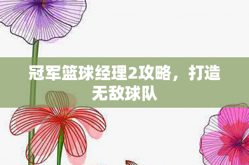 冠军篮球经理2攻略,打造无敌球队 冠军篮球经理2攻略,打造无敌球队