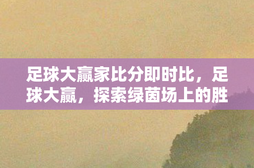 足球大赢家比分即时比，足球大赢，探索绿茵场上的胜利密码