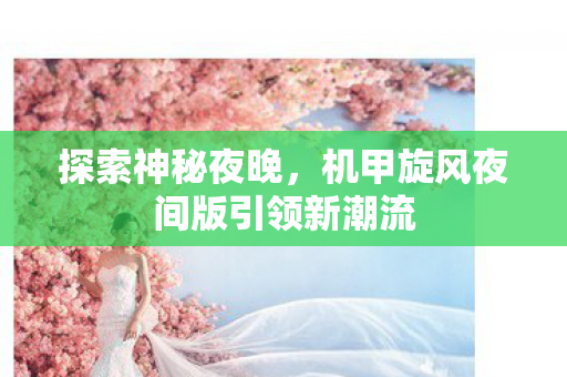 探索神秘夜晚,机甲旋风夜间版引领新潮流 探索神秘夜晚,机甲旋风夜间版引领新潮流