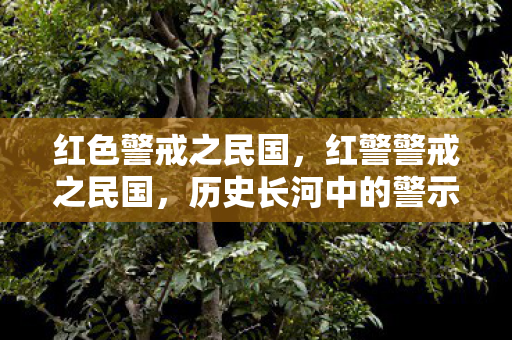 红色警戒之民国，红警警戒之民国，历史长河中的警示与反思