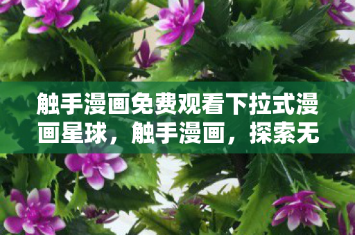 触手漫画免费观看下拉式漫画星球，触手漫画，探索无限想象的漫画世界