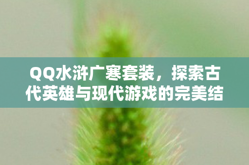 QQ水浒广寒套装,探索古代英雄与现代游戏的完美结合 QQ水浒广寒套装,探索古代英雄与现代游戏的完美结合