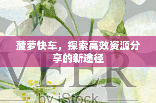 菠萝快车,探索高效资源分享的新途径 菠萝快车,探索高效资源分享的新途径