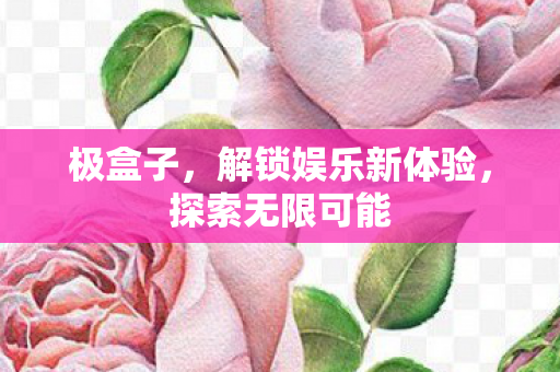 极盒子，解锁娱乐新体验，探索无限可能