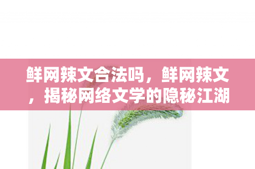 鲜网辣文合法吗，鲜网辣文，揭秘网络文学的隐秘江湖