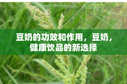 豆奶的功效和作用，豆奶，健康饮品的新选择