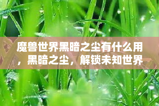 魔兽世界黑暗之尘有什么用，黑暗之尘，解锁未知世界的神秘钥匙