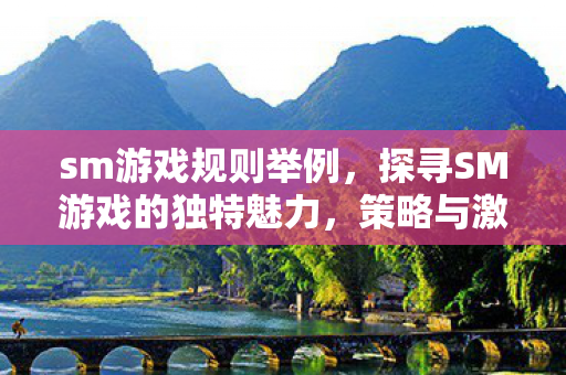 sm游戏规则举例，探寻SM游戏的独特魅力，策略与激情的碰撞