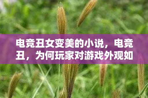 电竞丑女变美的小说，电竞丑，为何玩家对游戏外观如此挑剔？