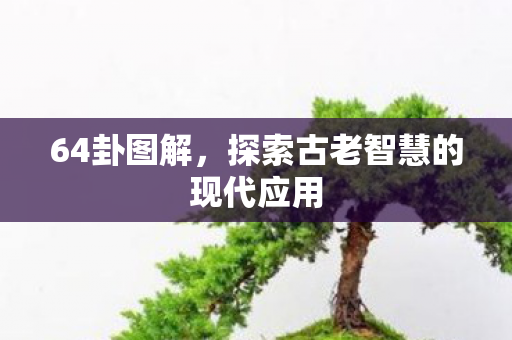 64卦图解，探索古老智慧的现代应用
