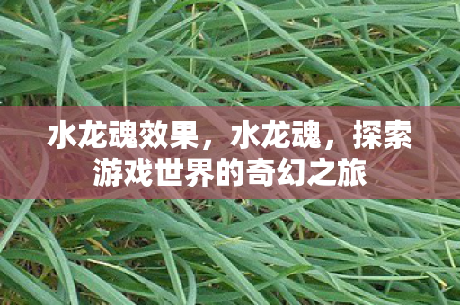 水龙魂效果,水龙魂,探索游戏世界的奇幻之旅 水龙魂效果,水龙魂,探索游戏世界的奇幻之旅